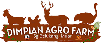 D'IMPIAN AGRO FARM - MUAR,JOHOR MALAYSIA - AGRO TOURISM DI MALAYSIA