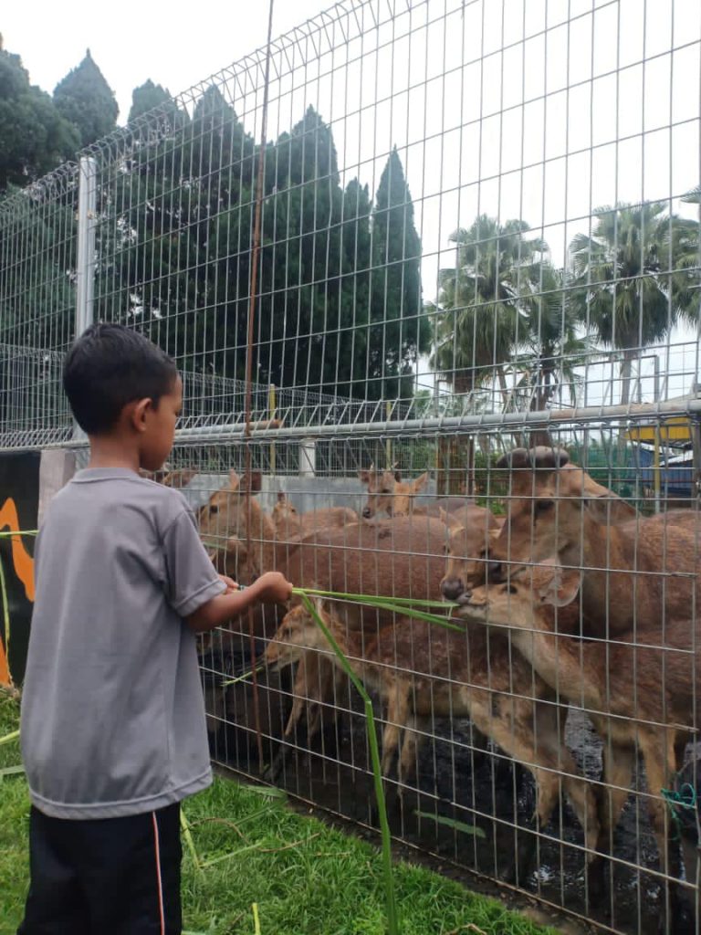 Mini Zoo D'Impian Agro Farm By Coach Bahar Tempat Menarik di Muar