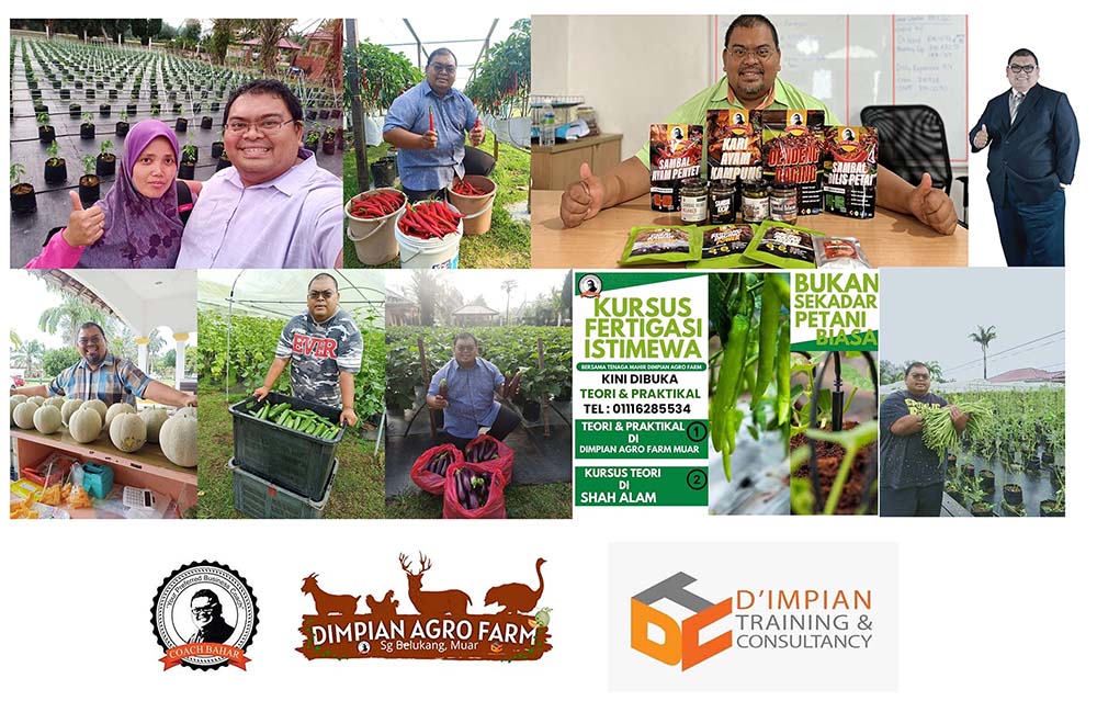 D'IMPIAN AGRO FARM - COACH BAHAR - USAHAWAN TANI - UNIVERSITI MALAYSIA KELANTAN - UNIVERSITI - PERTANIAN - AGROMAKANAN - FOOD SECURITY - COBAWIN FRIED CHICKEN - Ministry of Agriculture and Food Security of Malaysia - Kementerian Pertanian dan Industri Makanan 