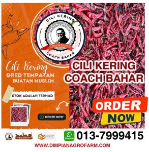 produk coach bahar - CILI KERING COACH BAHAR - D'IMPIAN AGRO FARM MUAR JOHOR
