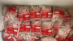 Ayam Organik Coach Bahar - Beli Online Penghantaran Seluruh Malaysia - D'IMPIAN AGRO FARM MUAR JOHOR