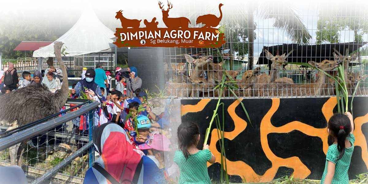 AGRO-TOURISM-MALAYSIA-D'IMPIAN-AGRO-FARM-COACH-BAHAR-DIMPIANAGROFARM.COM-MINI-ZOO-DI-MUAR-JOHOR_COBAWIN